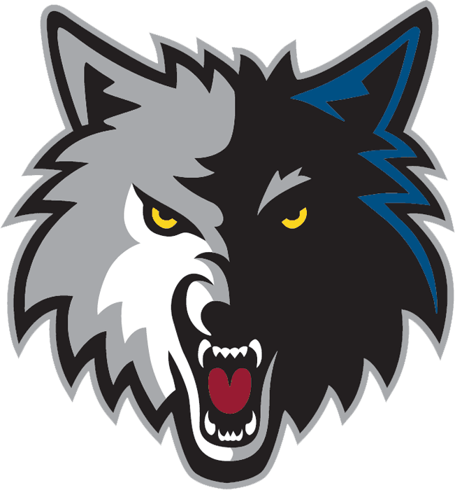Minnesota Timberwolves 2008-2017 Alternate Logo t shirts DIY iron ons